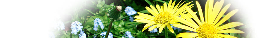 Livsøje header image
